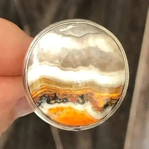 SIZE 7 Real Bumblebee Bumble Bee Jasper Circle 925 Sterling Silver Ring NWT - Picture 1 of 6